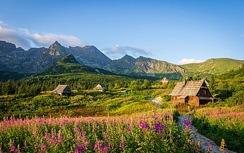 Tatras, morning, sunrise, mountain landscape, Poland, Carpathians, mountain village HD wallpaper
