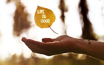 Words, Hand, Sheet, Leaf, Inscription, Letters HD wallpaper