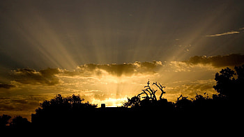 Nature, Sky, Sun, Clouds, Shine, Light, Rays, Beams, Outlines HD wallpaper