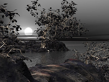 Gray Dawn , dawn, gray HD wallpaper