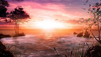 super sunrise, sea, canes, bright, inlet, rocks, sunset HD wallpaper