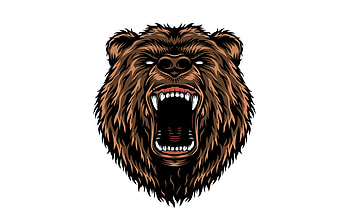 Brown bear, art, bear face, predator, wildlife, bears, white background HD wallpaper