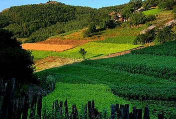 Land colors, earth, beautiful, color, land HD wallpaper