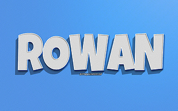 Rowan, blue lines background, with names, Rowan name, male names, Rowan greeting card, line art, with Rowan name HD wallpaper
