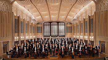 Orchestra , Musical instruments, Elegant ensemble, Symphony bliss HD wallpaper