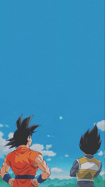 Goku in 2021. Dragon ball , Anime dragon ball super, Dragon ball , Dragon Ball Z Aesthetic HD phone wallpaper