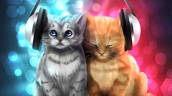 Elegant feline grace, Playful kitten antics, Curious cat behavior, Majestic cat breeds HD wallpaper