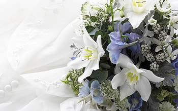 Flowers, Bouquet, Tenderness, Composition HD wallpaper