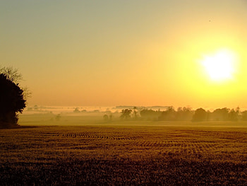 Landscape, Fields, Sun HD wallpaper