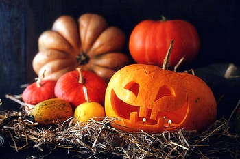 Halloween Still Life, graphy, fall, colors, lovely still life, pumpkins, still life, love four seasons, halloween, holiday, autumn HD wallpaper