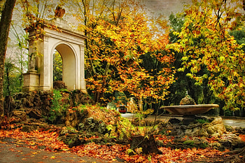 Leaf fall, Leaf, nature, forest, fall HD wallpaper