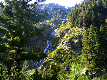 Rilla Mountain, Bulgaria, rilla, green, bulgaria, trees, fresh, mountain HD wallpaper