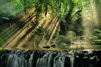 Sunbeams thru the forest, natural, waterfall, trees, sunbeams, , nature, forest, beauty HD wallpaper