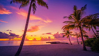 Guraidhoo Island, Maldives, Indian Ocean, colors, sky, sunset, palm trees, sea HD wallpaper