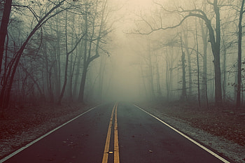 Nature, Road, Markup, Forest, Fog, Lines, Haze, Mystic, Mysticism, Riddle HD wallpaper