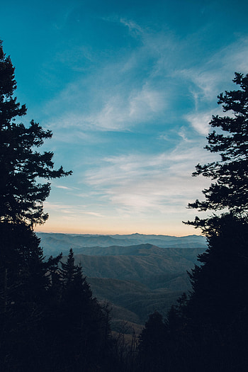 Landscape, Nature, Trees, Mountains, Fog, View HD phone wallpaper