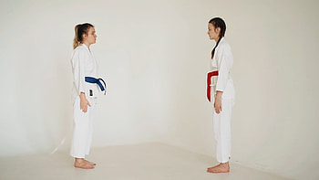 Karate, Respect, Tradition, Bowing HD wallpaper