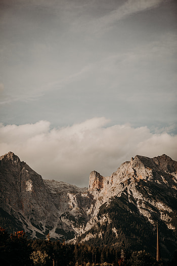 Landscape, Nature, Trees, Mountains, Rocks, Slope HD phone wallpaper