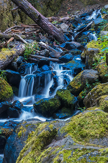 Nature, Stones, Waterfall, Flow, Moss, Stream, Log HD phone wallpaper