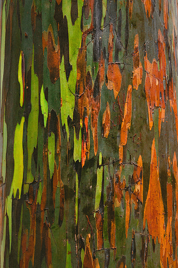 Texture, Textures, Paint, Surface, Stains, Spots, Rust HD phone wallpaper