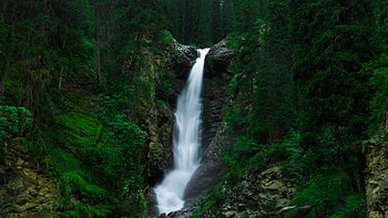 Green Forest, Waterfall, Nature HD wallpaper