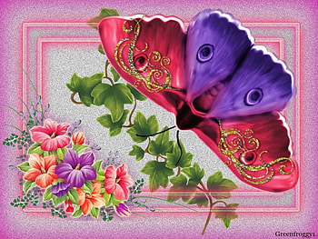 LARGE MOTH, ART, MOTH, LARGE HD wallpaper