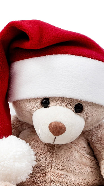 Cute Teddy Bear, Santa Clause, Cap HD phone wallpaper