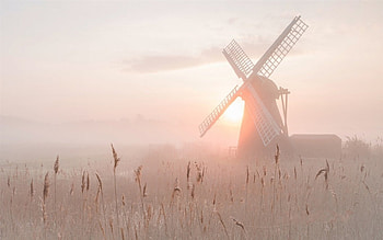 Quiet Misty Morning, Frost, Windmills, Nature, Morning HD wallpaper