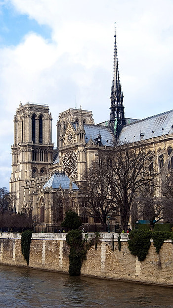 Notre-Dame Cathedral, Travels, Dazzling backgrounds, Majestic presence HD phone wallpaper