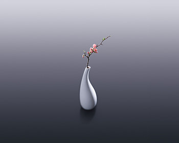 Flowers, vase, minimal HD wallpaper