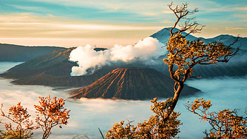Sunrise at Mount Pananjakan, Indonesia, mist, trees, volcanoes, clouds, landscape, sky HD wallpaper