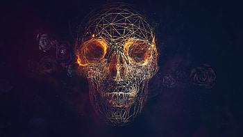wireframe, CGI, Skull, Fire, Rose, Vectors, Lines, Blue Background / and Mobile Backgrounds HD wallpaper