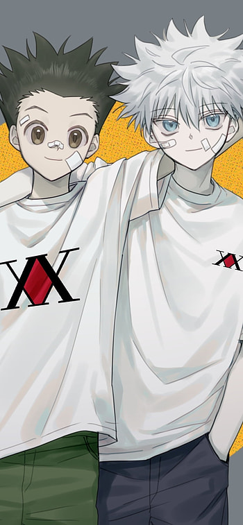 Killua Zoldyck, Gon css, Anime, Hunter x Hunter HD phone wallpaper