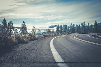 A scenic view of a winding highway through a conifer forest on a cloudy day, offering natural beauty. HD wallpaper