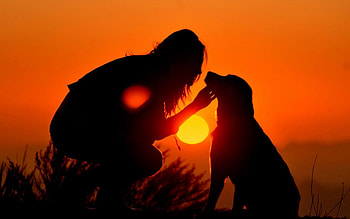 Dark, Shine, Light, Dog, Silhouettes, Shadow, Girl HD wallpaper