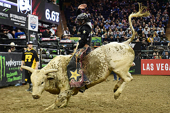 PBR Unleash The Beast 2019, Bullriding HD wallpaper