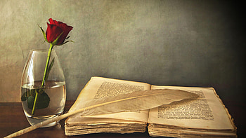 Book , Literary art, Book-themed backgrounds, Reading inspiration HD wallpaper