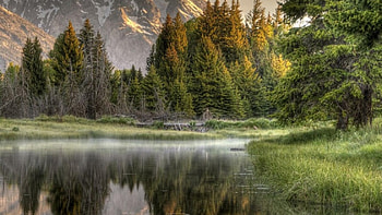 glorious nature landscape r, reflection, r, mountains, forest, lake HD wallpaper