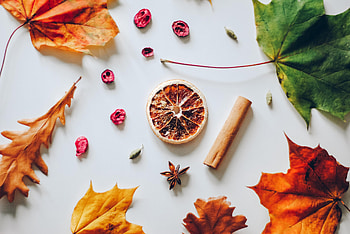 Autumn, Cinnamon, Miscellanea, Miscellaneous, Lemon, Citrus, Lobule, Clove HD wallpaper