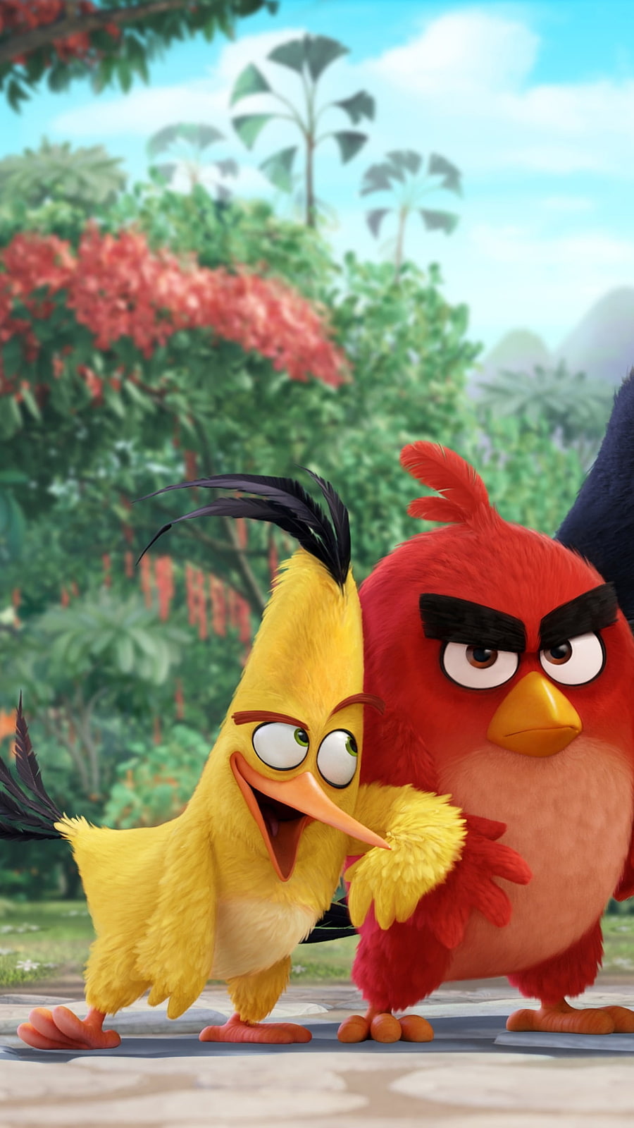Angry Birds, Friends, Birds HD phone wallpaper