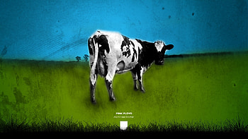 Pink Floyd Atom Heart Mother HD wallpaper