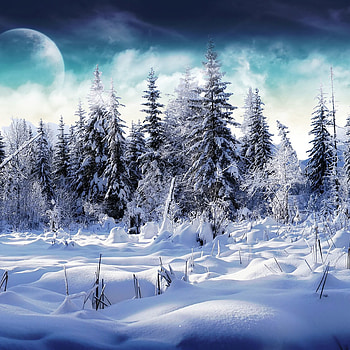 Winter iPad 20 HD phone wallpaper
