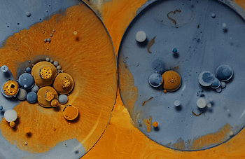 yellow, Abstract, paint HD wallpaper