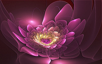 Abstract, Pink, Flower, Form, Fractal HD wallpaper