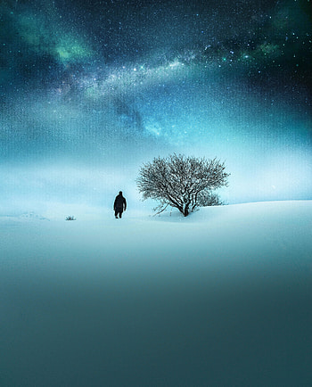 Winter, landscape, man & tree, night out HD phone wallpaper