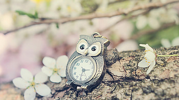 Objects, Clock HD wallpaper