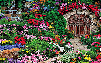 Wine Cellar, flowers, door, path, summer, blossoms, garden HD wallpaper