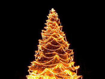 Golden Christmas, abstract, graphy, lights, christmas, gold, christmas tree, tree HD wallpaper