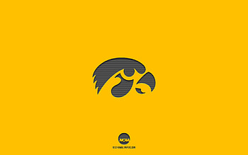 Iowa Hawkeyes, yellow background, American football team, UConn Huskies emblem, NCAA, Iowa, USA, American football, Iowa Hawkeyes logo HD wallpaper