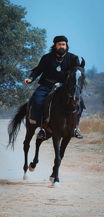 Marakkar, horse, Mohanlal HD phone wallpaper